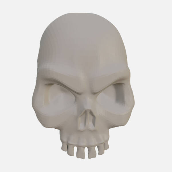 Skull Model FBX